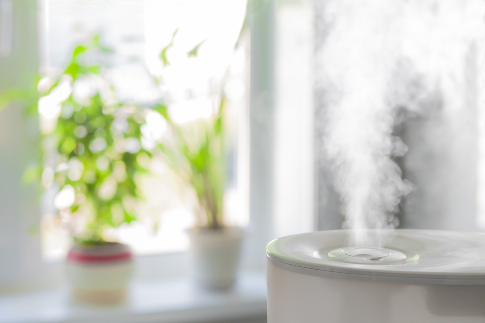 Benefits of a Humidifier For Your Home