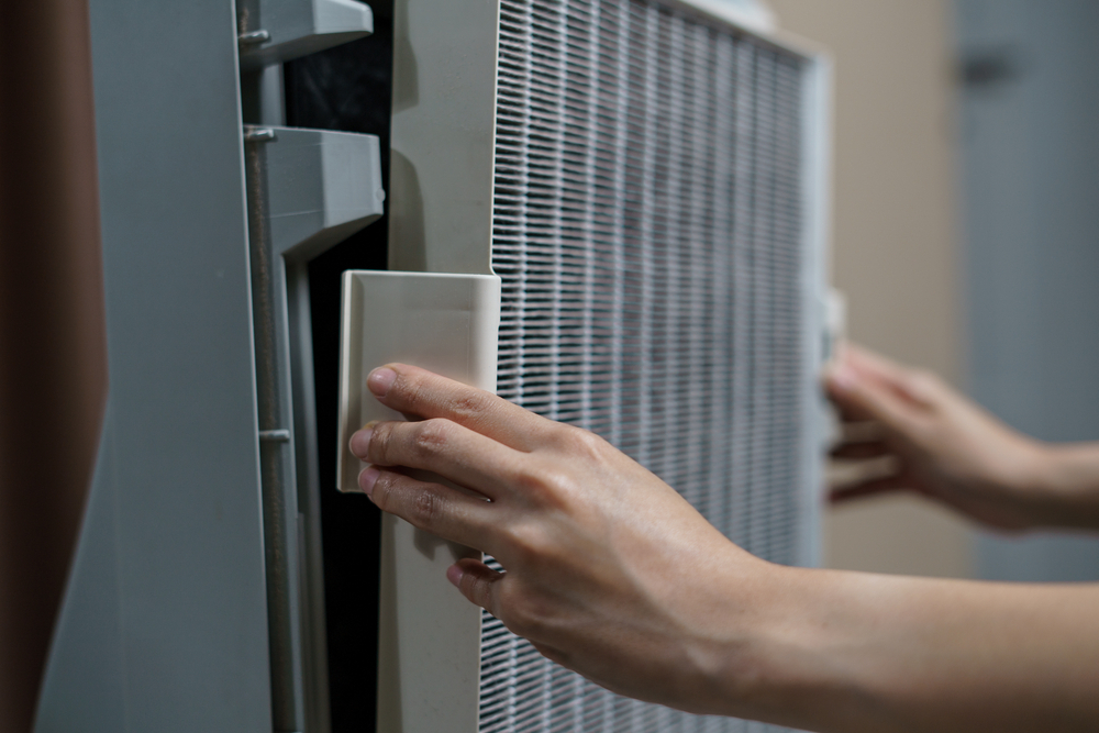 HEPA Filters for Springtime Allergies